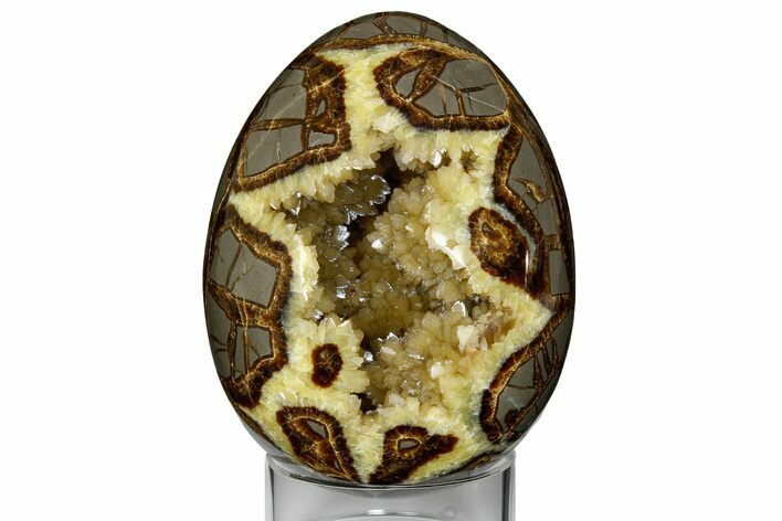 Calcite Crystal Filled Septarian Geode Egg - Utah #176039